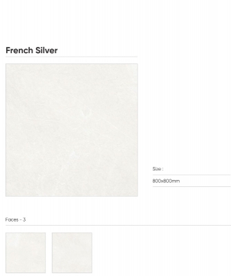 FRENCH SILVER