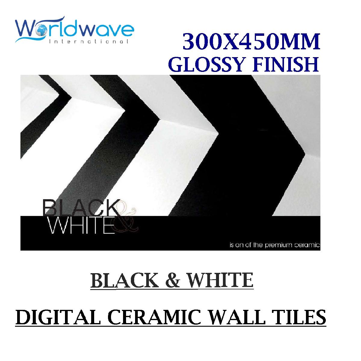 WHITE & BLACK GLOSSY SERIES (300X450MM)