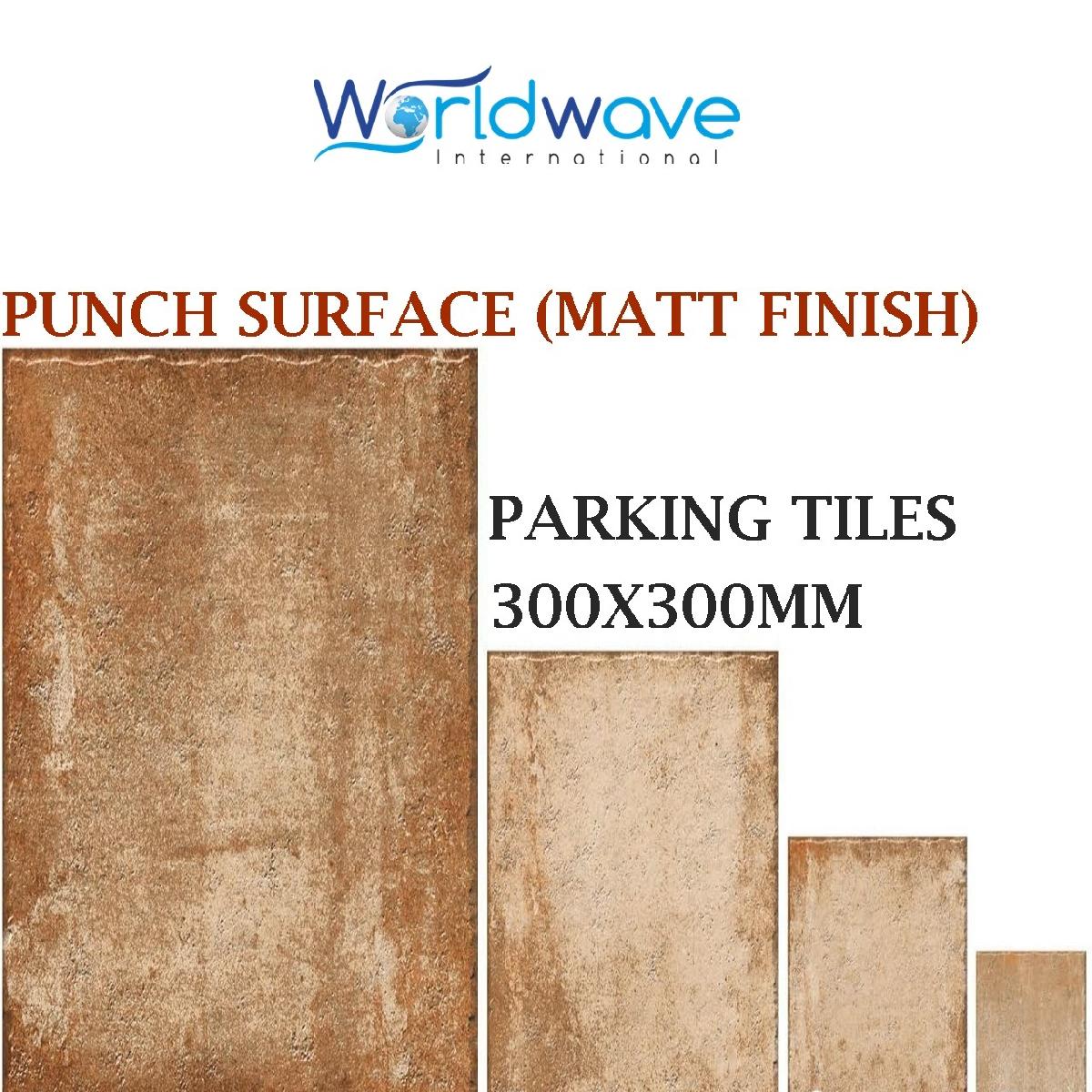 PUNCH SURFACE MATT SERIES (300X300MM)